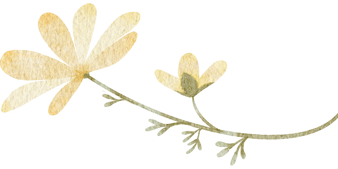 Ilustración de margarita para invitación Alba